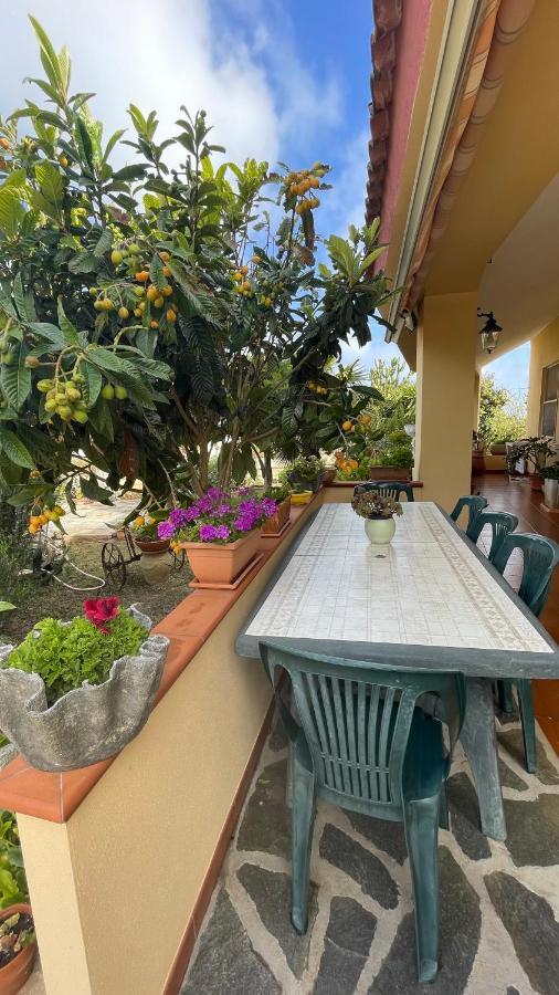 Bed and Breakfast La Mansarda Biancareddu Екстер'єр фото